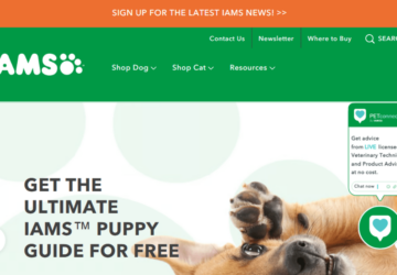 IAMS Dog Food Review