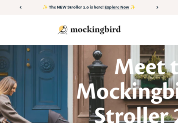 Mockingbird Stroller Review